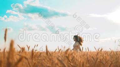 女孩正沿着麦田漫步自然慢生活方式<strong>运动视频</strong>.. 穿着白色裙子跑大自然的美丽女孩